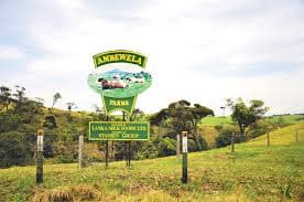 Nuwara Eliya City Tour 8