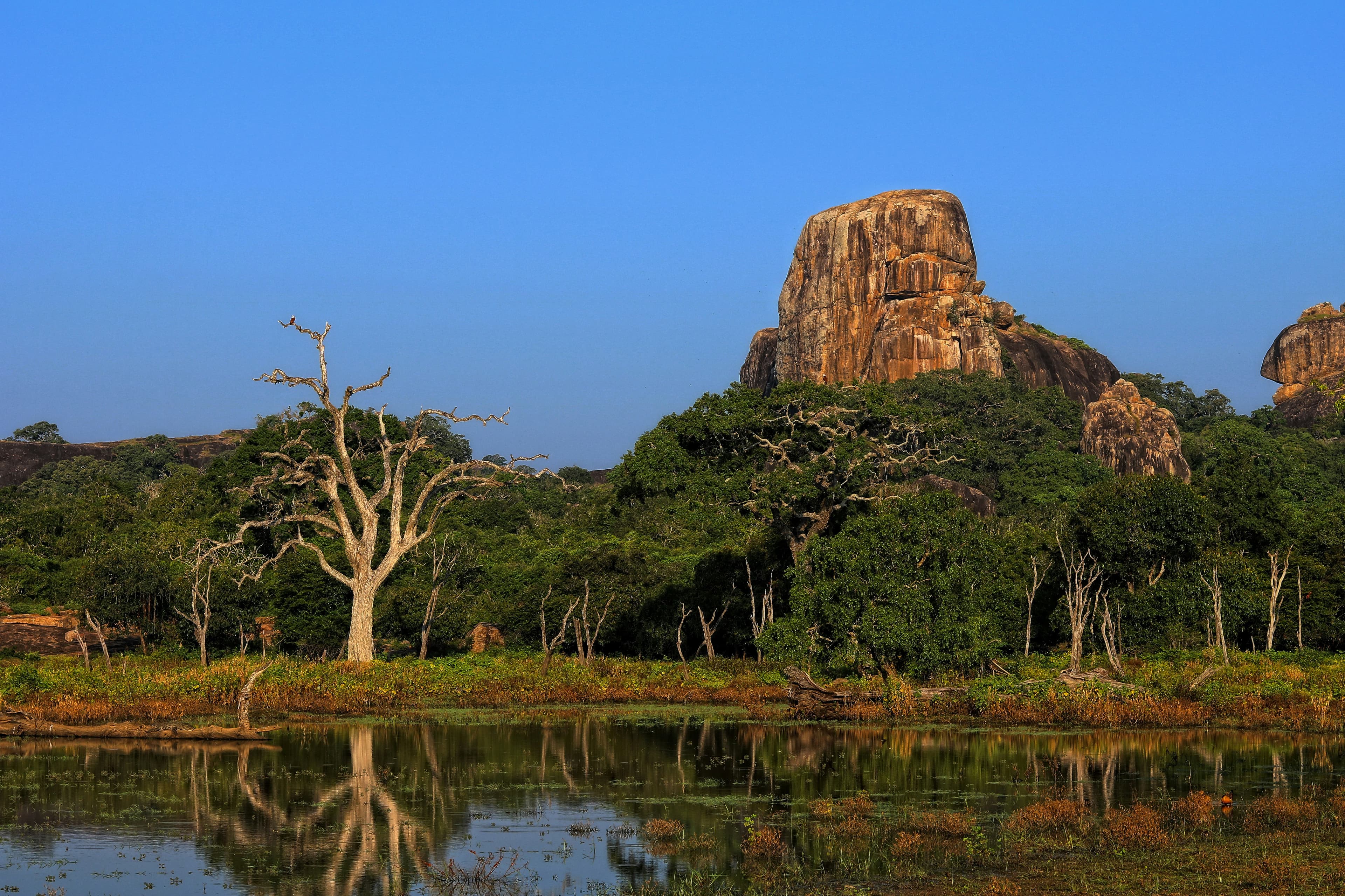 Yala Safari Tour 5